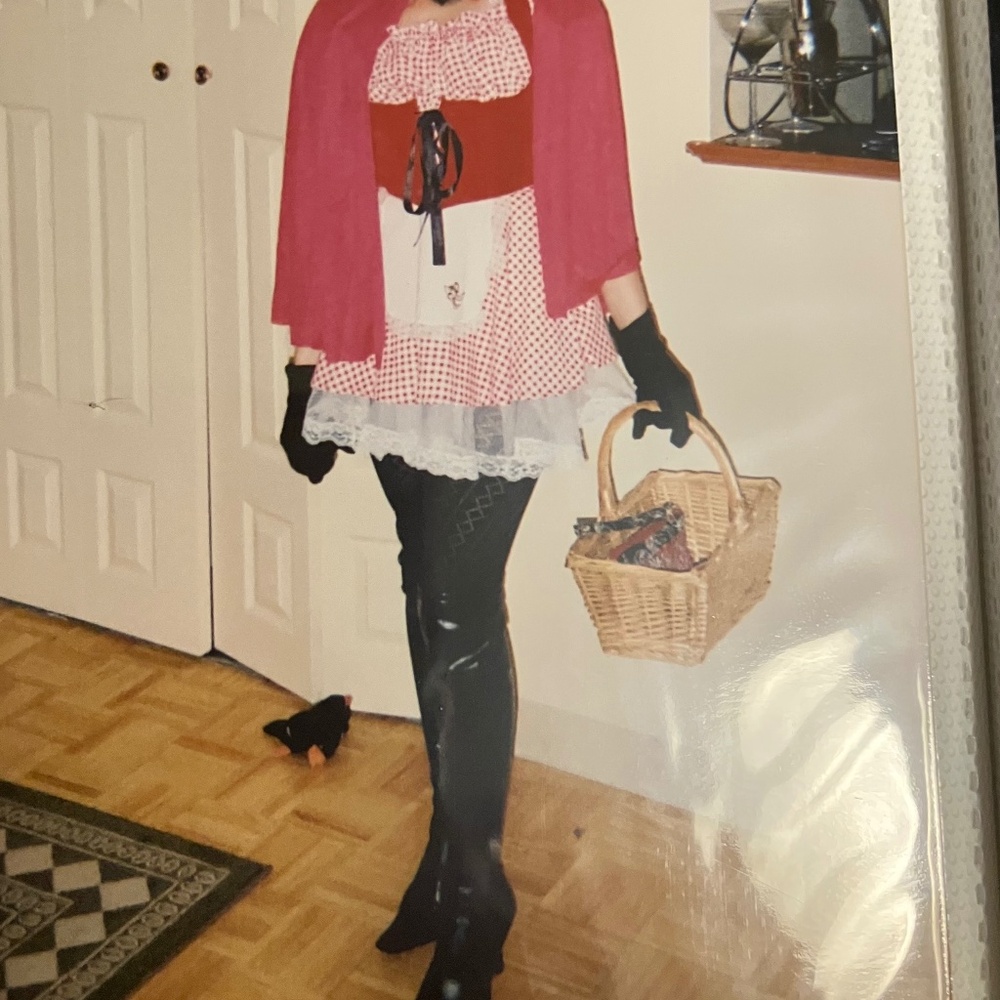 Sexy Little Red Riding Hood Costume